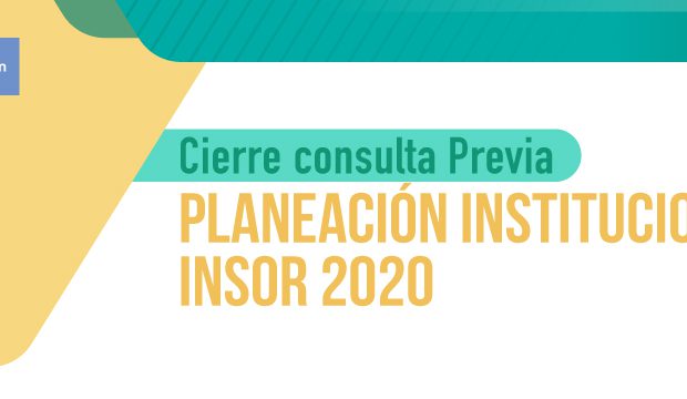 Consulta planes institucionales 2020