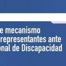 Banner Consejeros Nacionales de Discapacidad