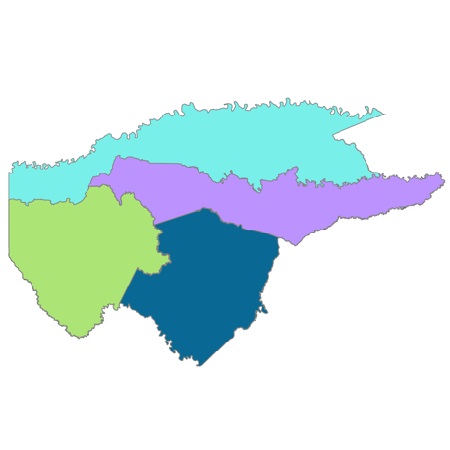 Mapa del Departamento de Guaviare